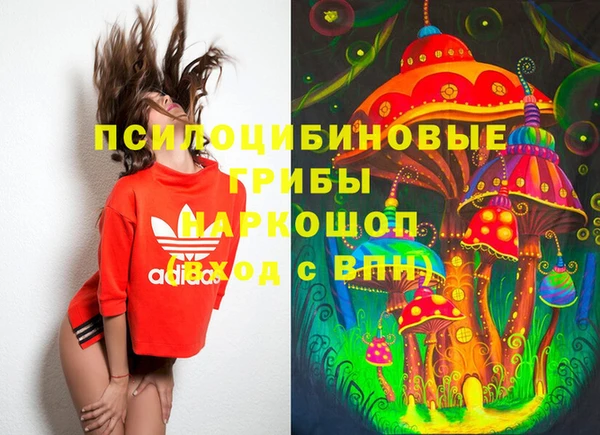 ГАЛЛЮЦИНОГЕННЫЕ ГРИБЫ Верхний Тагил