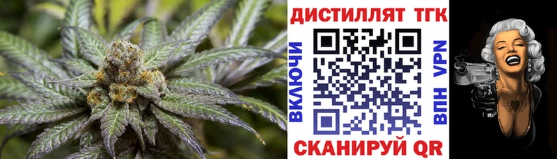 Купить  Малоярославец  ТГК концентрат 