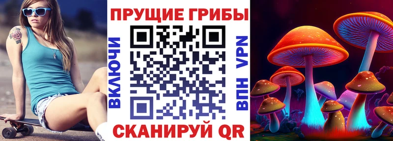 Купить Малоярославец Псилоцибиновые грибы мицелий