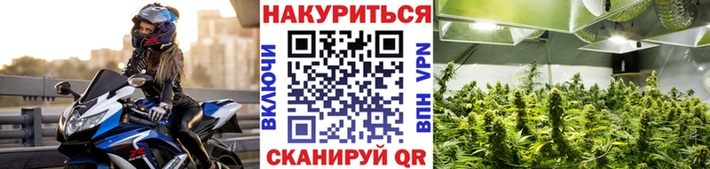 Шишки марихуана Amnesia  Купить где  Малоярославец 